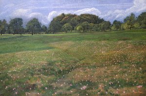 Pole jesiennych krokusów, 1908